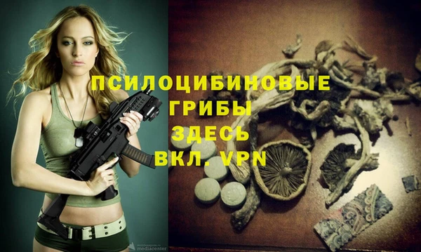 ГАЛЛЮЦИНОГЕННЫЕ ГРИБЫ Балахна